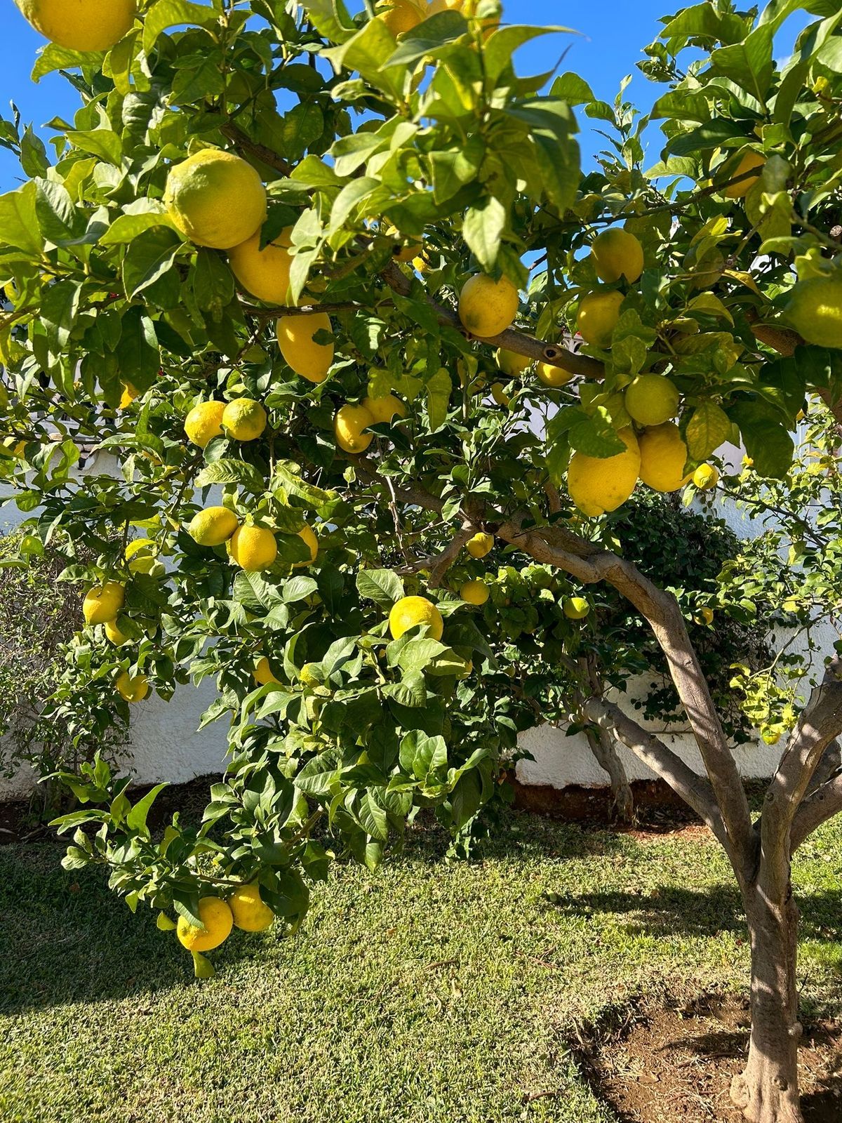 3130580224c363ca1aa44e8793010ff8 - 5