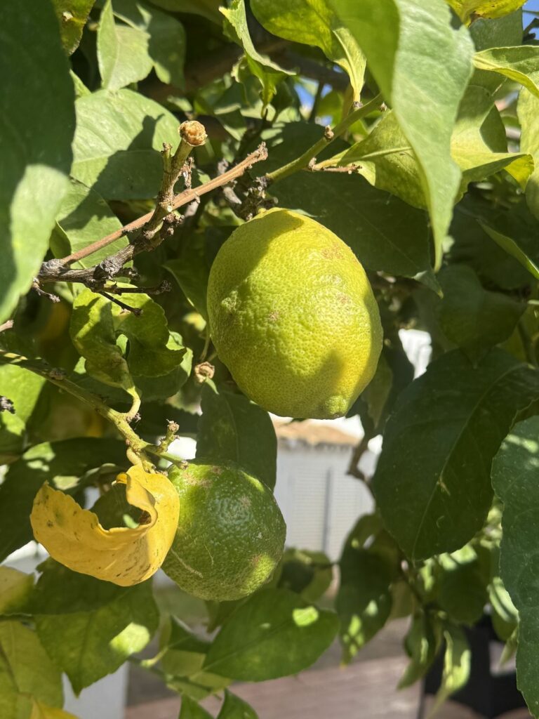 3130580224c363ca1aa44e8793010ff8 - 6