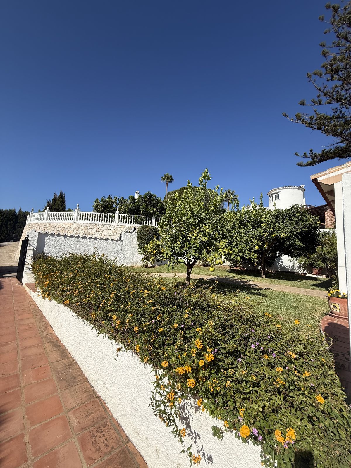 3130580224c363ca1aa44e8793010ff8 - 7