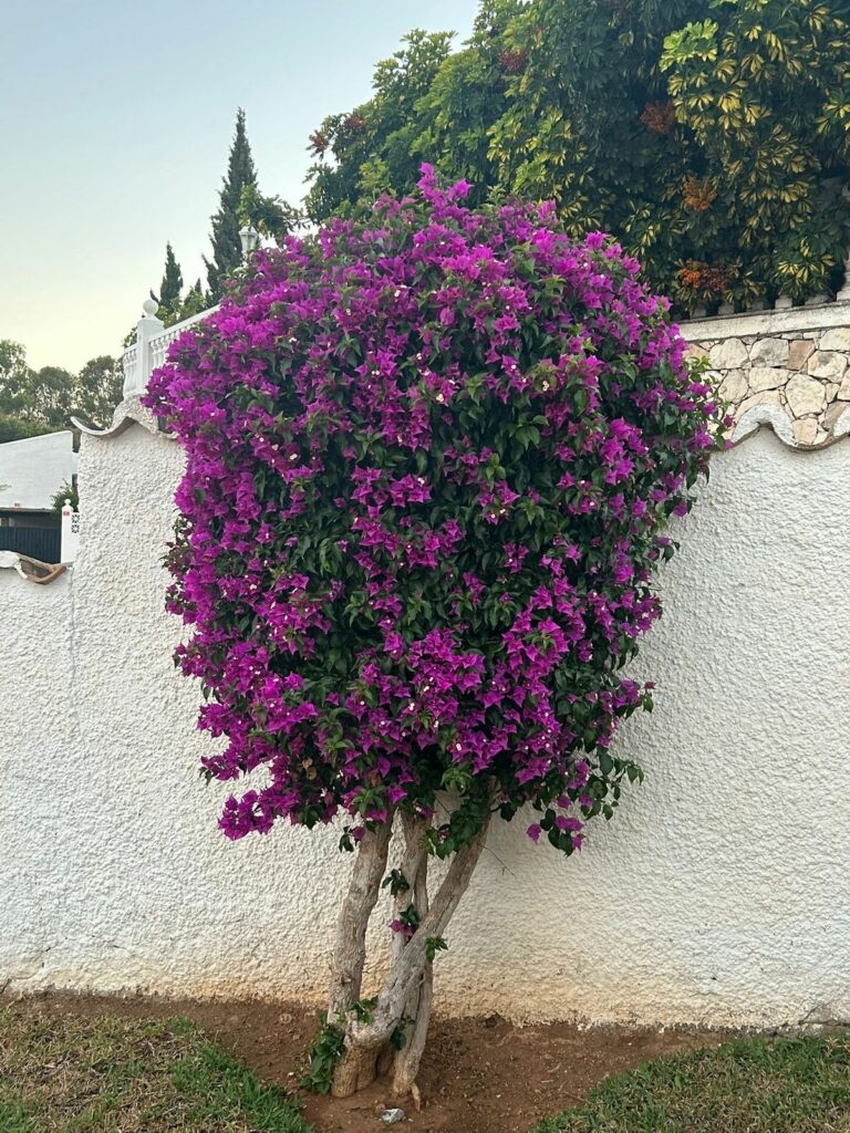 3130580224c363ca1aa44e8793010ff8 - 8