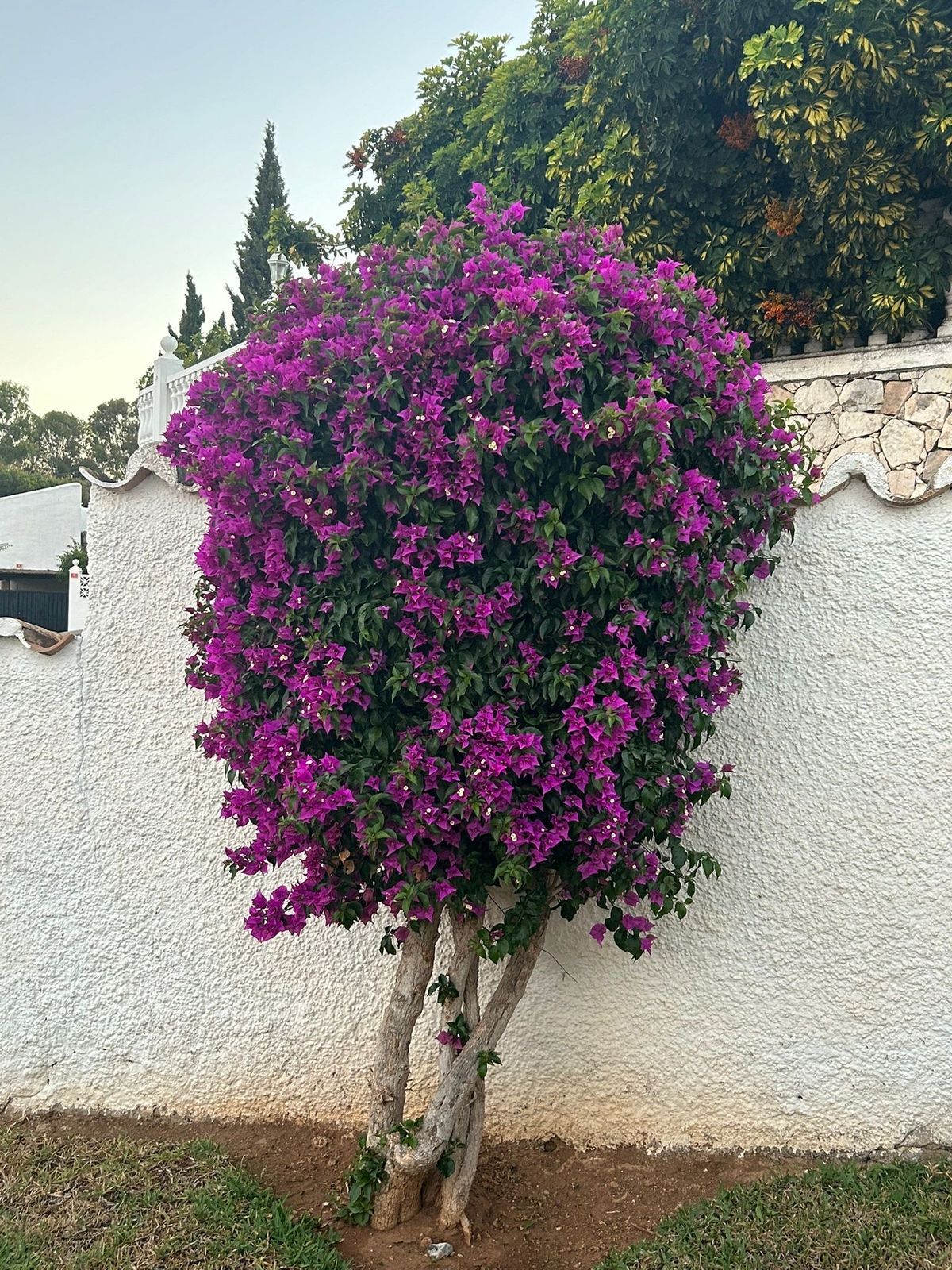 3130580224c363ca1aa44e8793010ff8 - 8