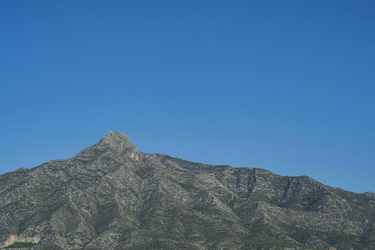 349410a907d4ca1f1da4cca26f05ae94 - 3