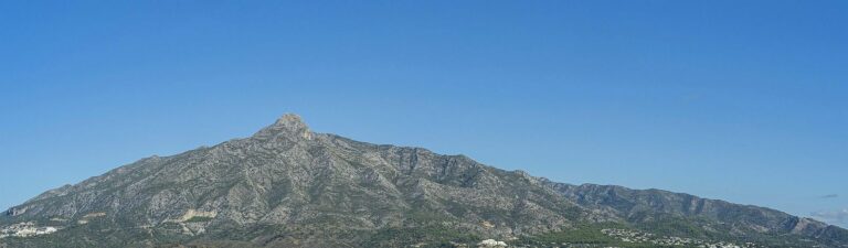 349410a907d4ca1f1da4cca26f05ae94 - 7