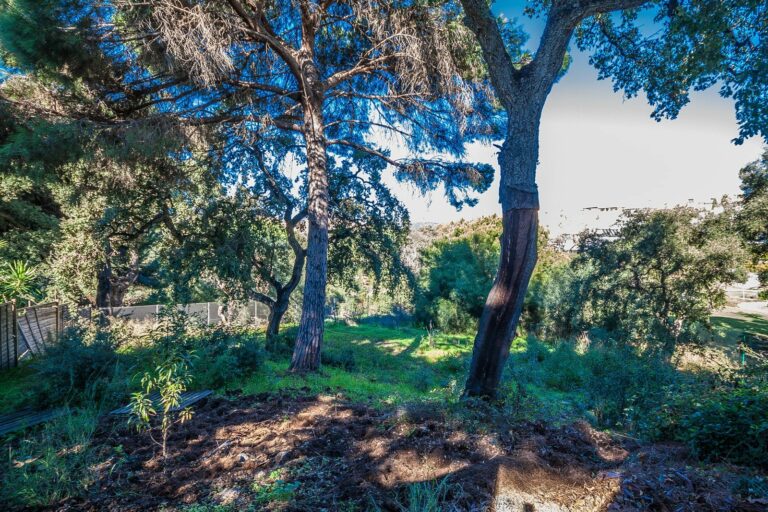 4c449977059434986514622f28c4d669 - 14