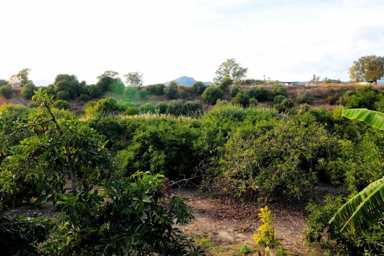 501a46b58579b7e87a9b5f4d06066f20 - 1