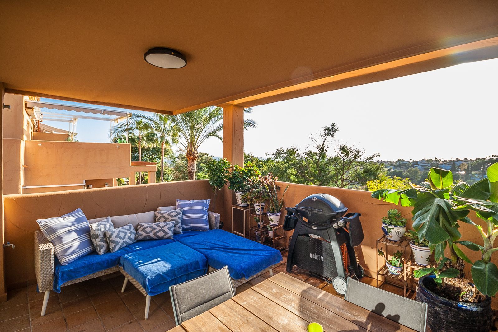 566b2988cf47405e0c8ede509ffed354 - 13