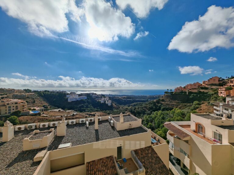 5d604c92fed286a11c9554e5b4989550 - 13