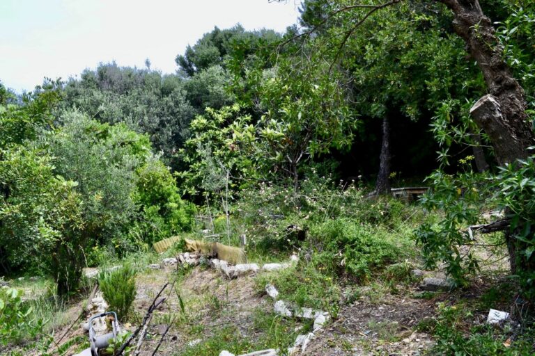 5e8a25dd16a59ea80f5fd9ebb50a0670 - 11