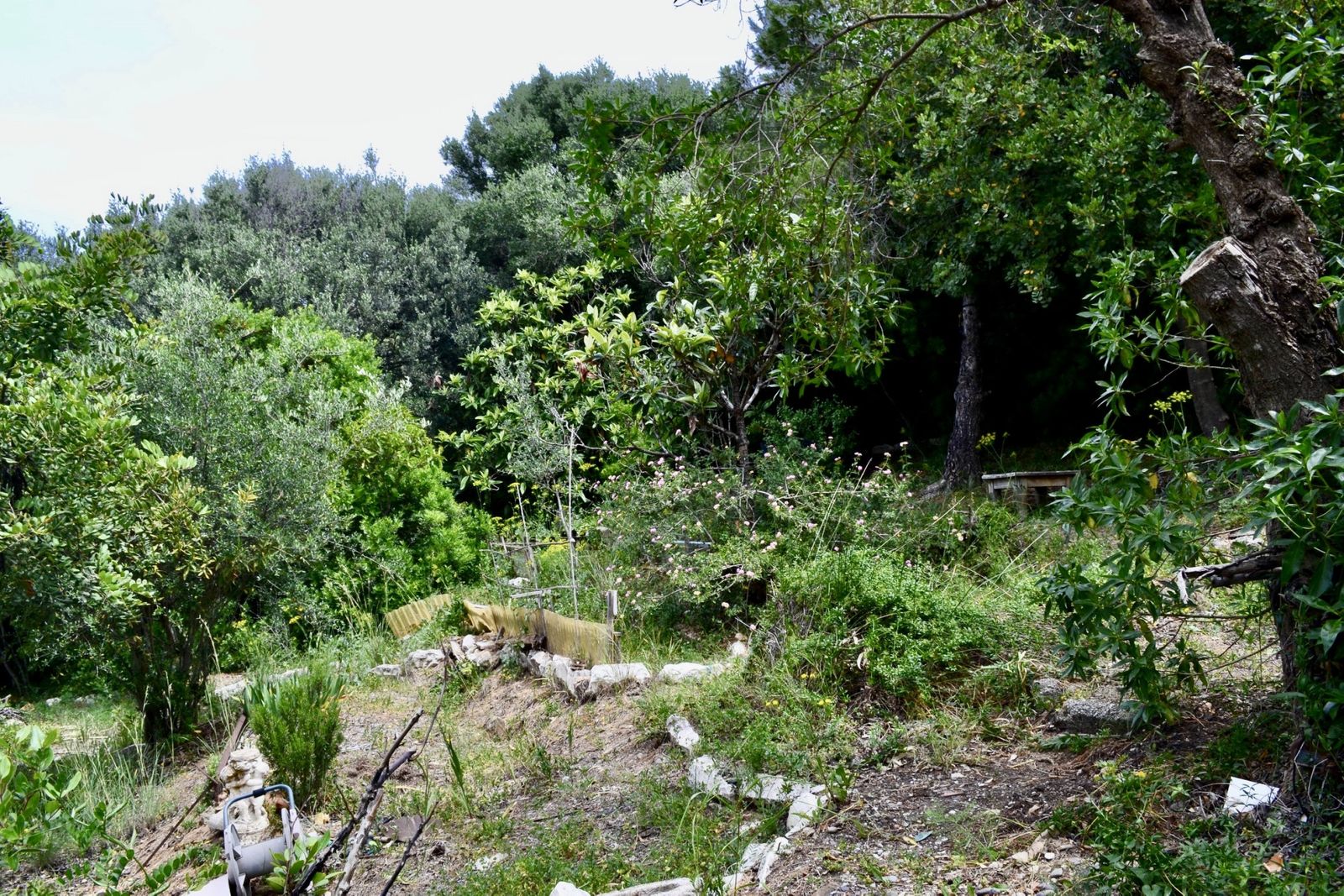 5e8a25dd16a59ea80f5fd9ebb50a0670 - 11