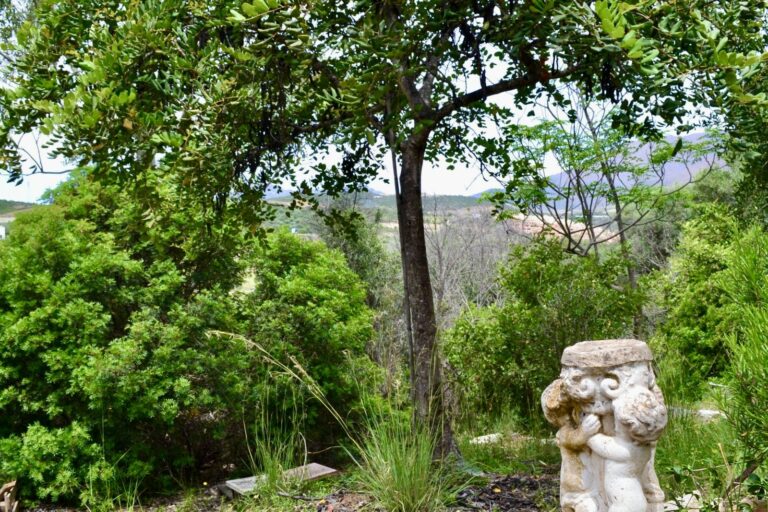 5e8a25dd16a59ea80f5fd9ebb50a0670 - 12