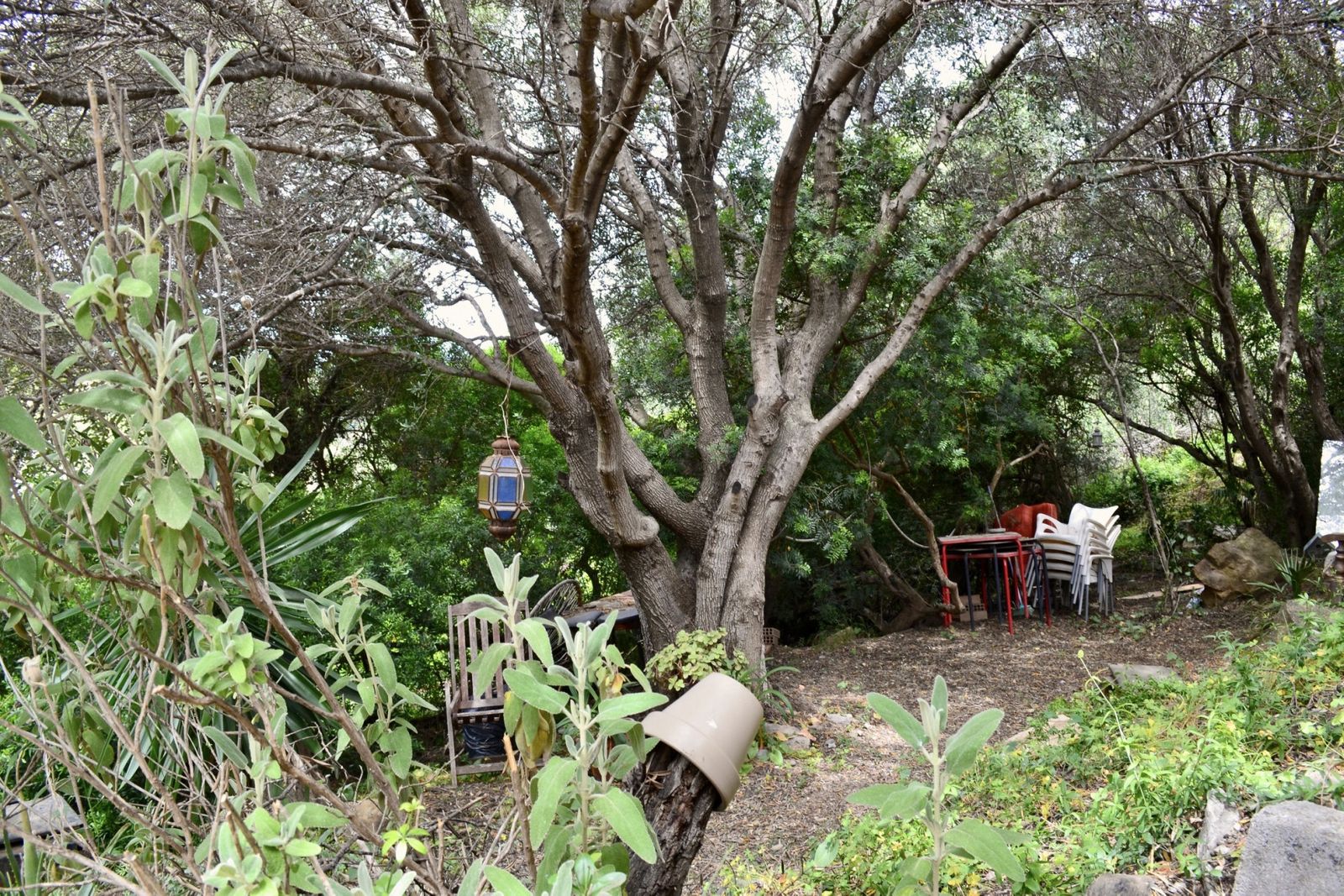 5e8a25dd16a59ea80f5fd9ebb50a0670 - 14