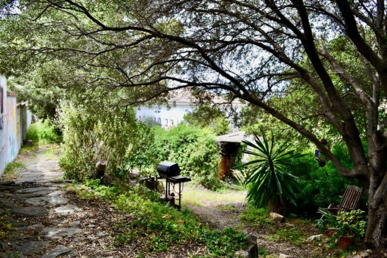 5e8a25dd16a59ea80f5fd9ebb50a0670 - 15