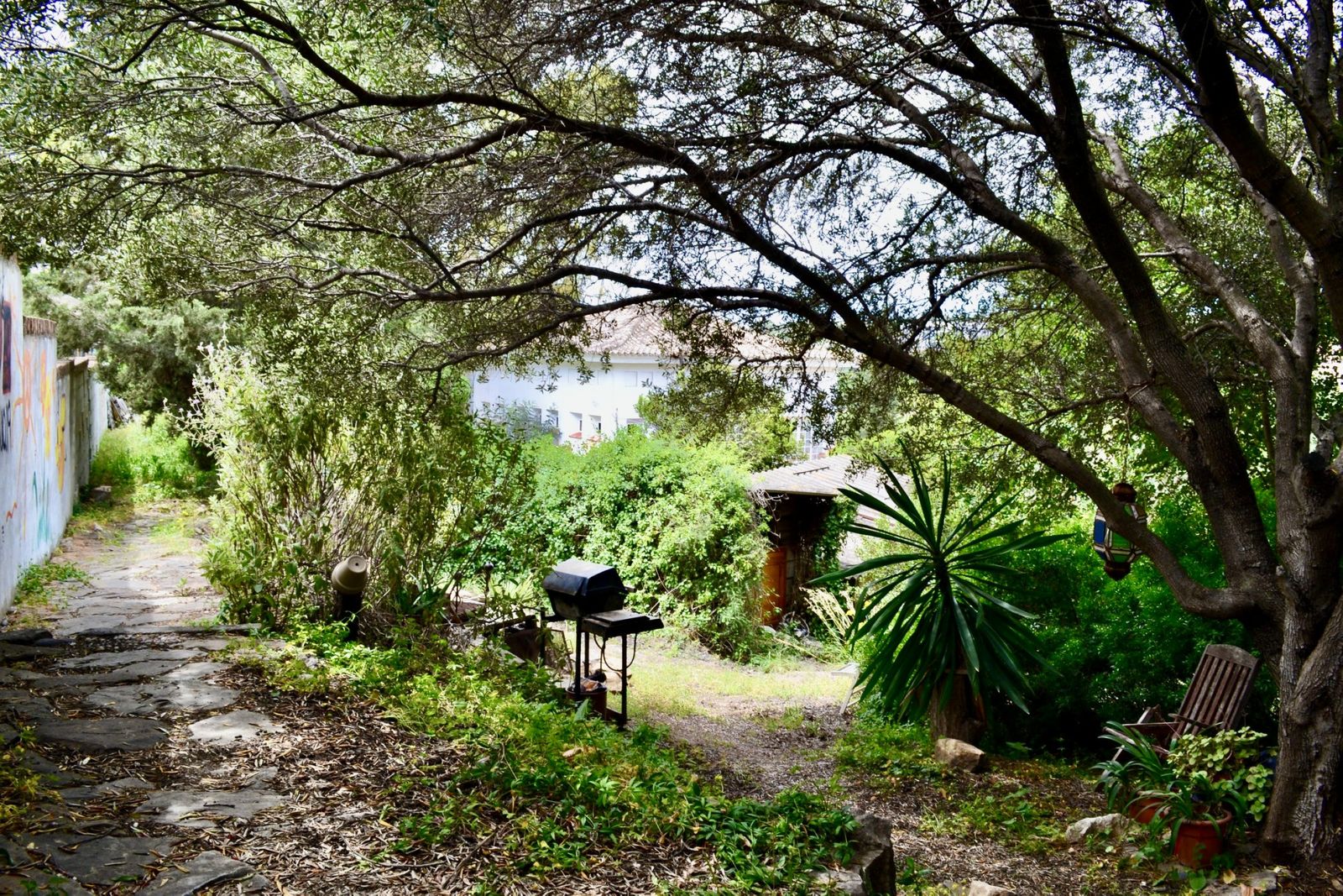 5e8a25dd16a59ea80f5fd9ebb50a0670 - 15