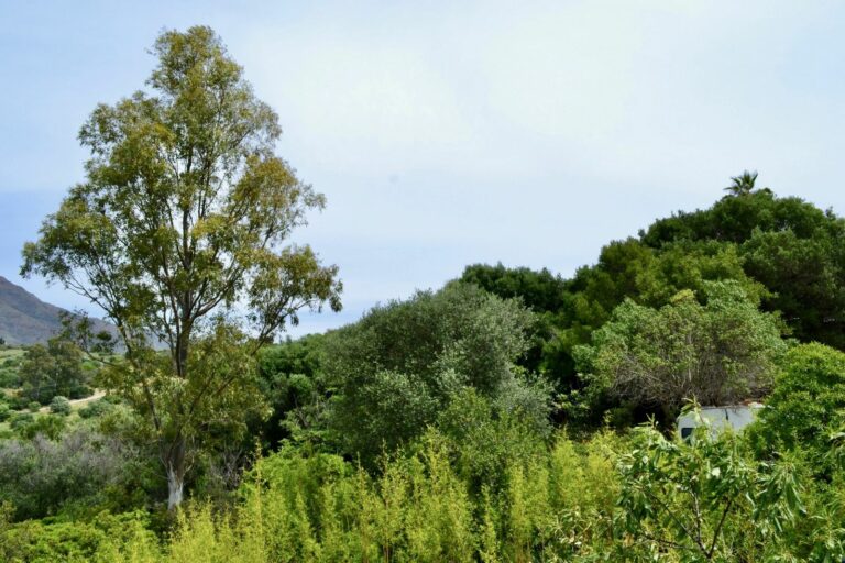 5e8a25dd16a59ea80f5fd9ebb50a0670 - 9