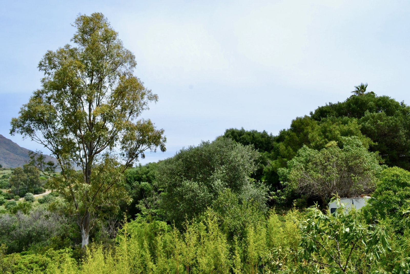 5e8a25dd16a59ea80f5fd9ebb50a0670 - 9