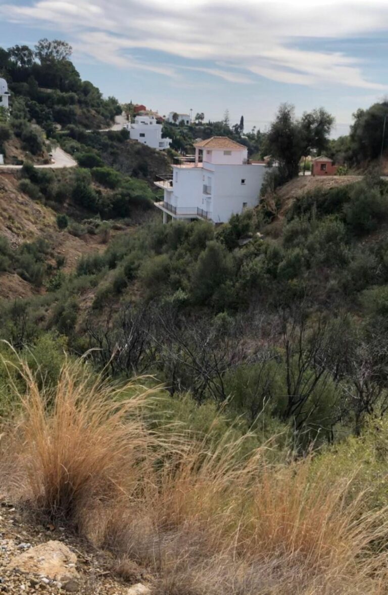 6143e826e99cf2ec5bc39ea508e74f04 - 11