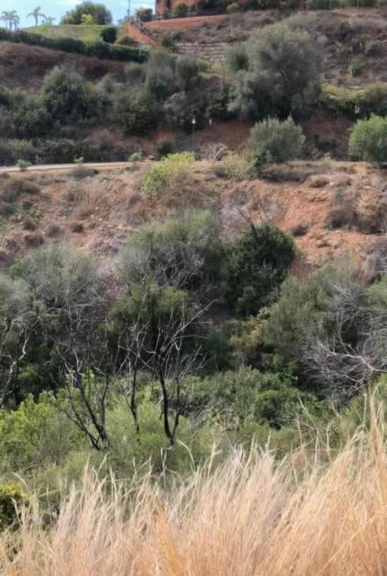 6143e826e99cf2ec5bc39ea508e74f04 - 12