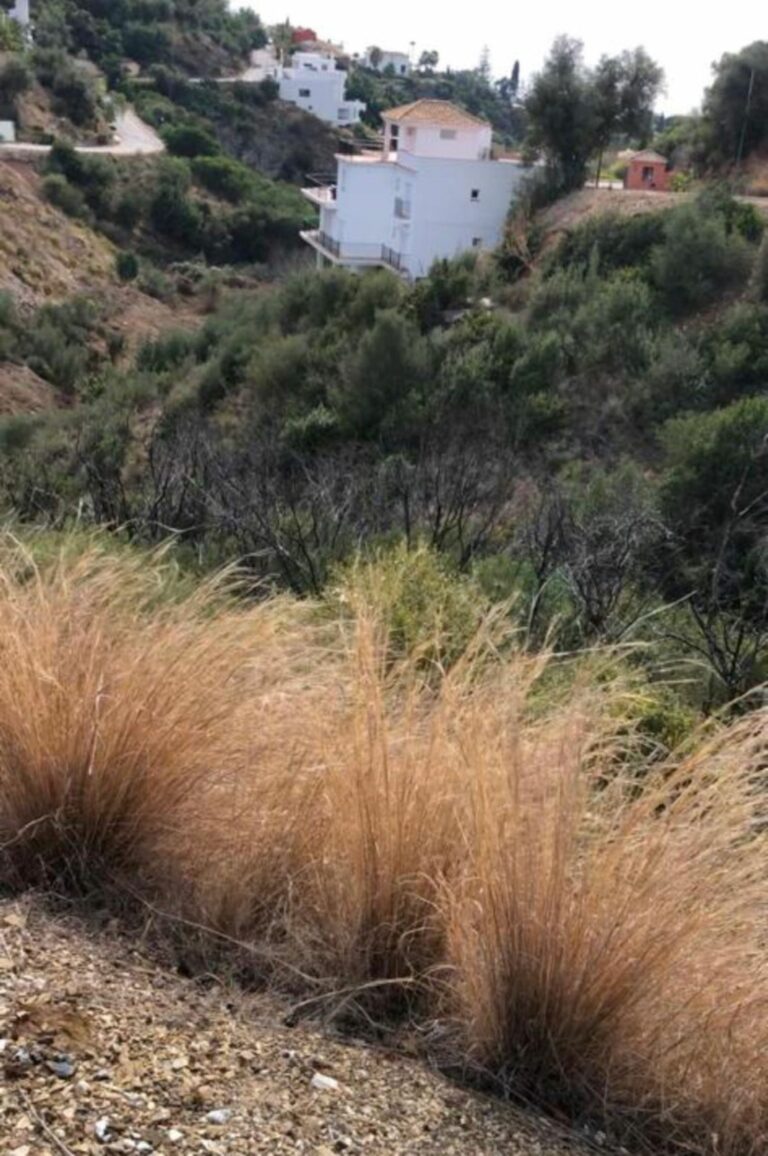 6143e826e99cf2ec5bc39ea508e74f04 - 13