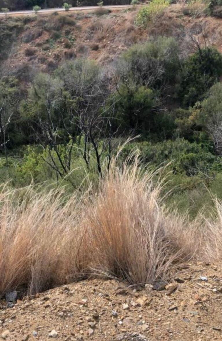 6143e826e99cf2ec5bc39ea508e74f04 - 14