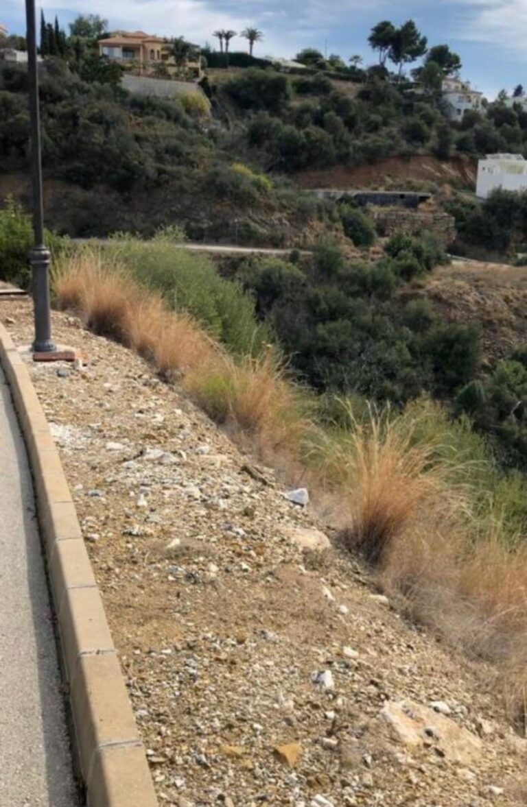 6143e826e99cf2ec5bc39ea508e74f04 - 15