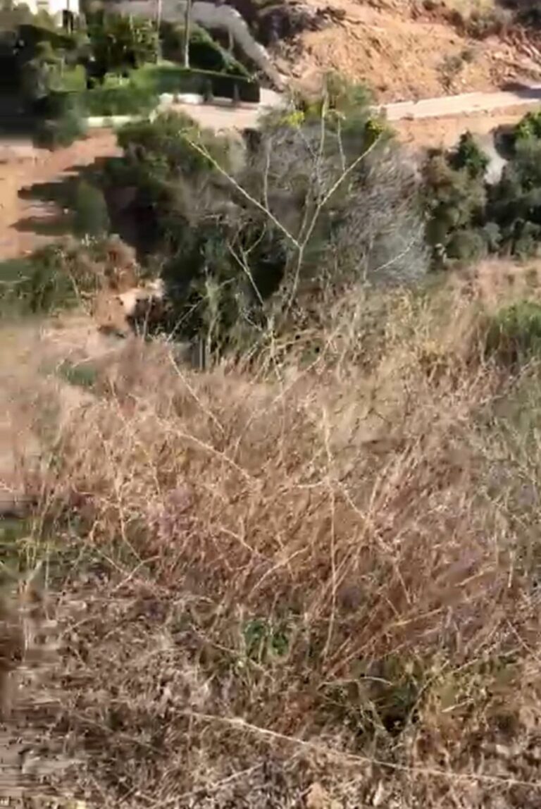 6143e826e99cf2ec5bc39ea508e74f04 - 7