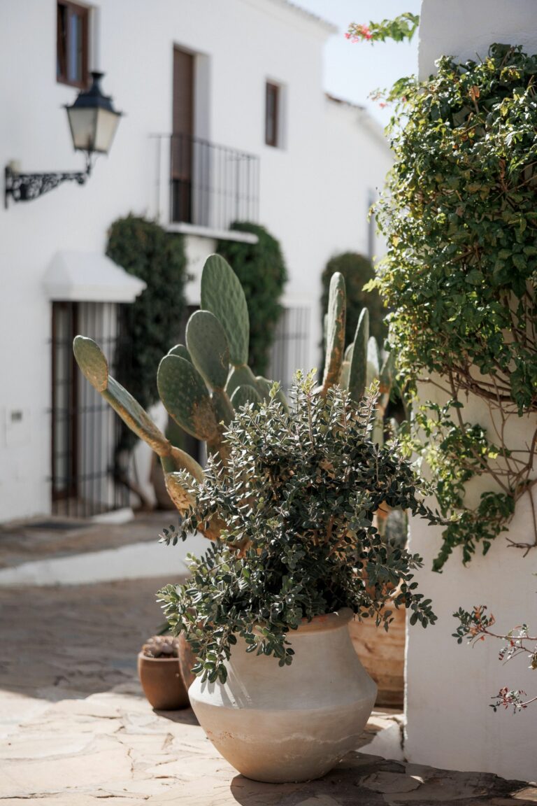 63646355eb06c059092abec849c8dad9 - 11