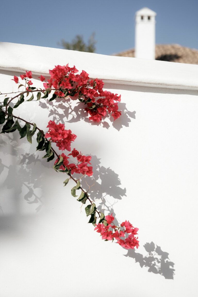 63646355eb06c059092abec849c8dad9 - 9