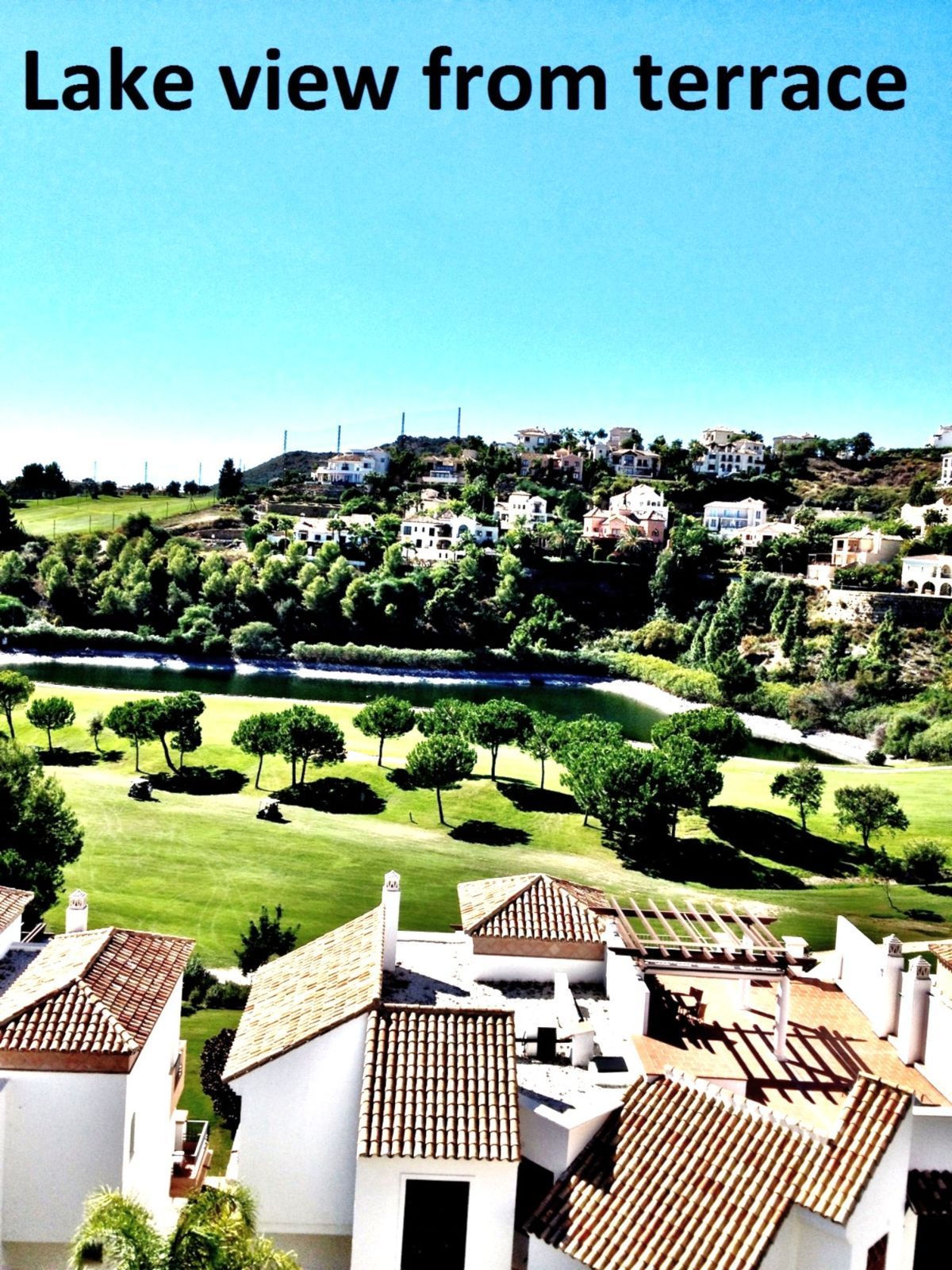 79d76cc36e8c2552a47f9a22019a12c1 - 5