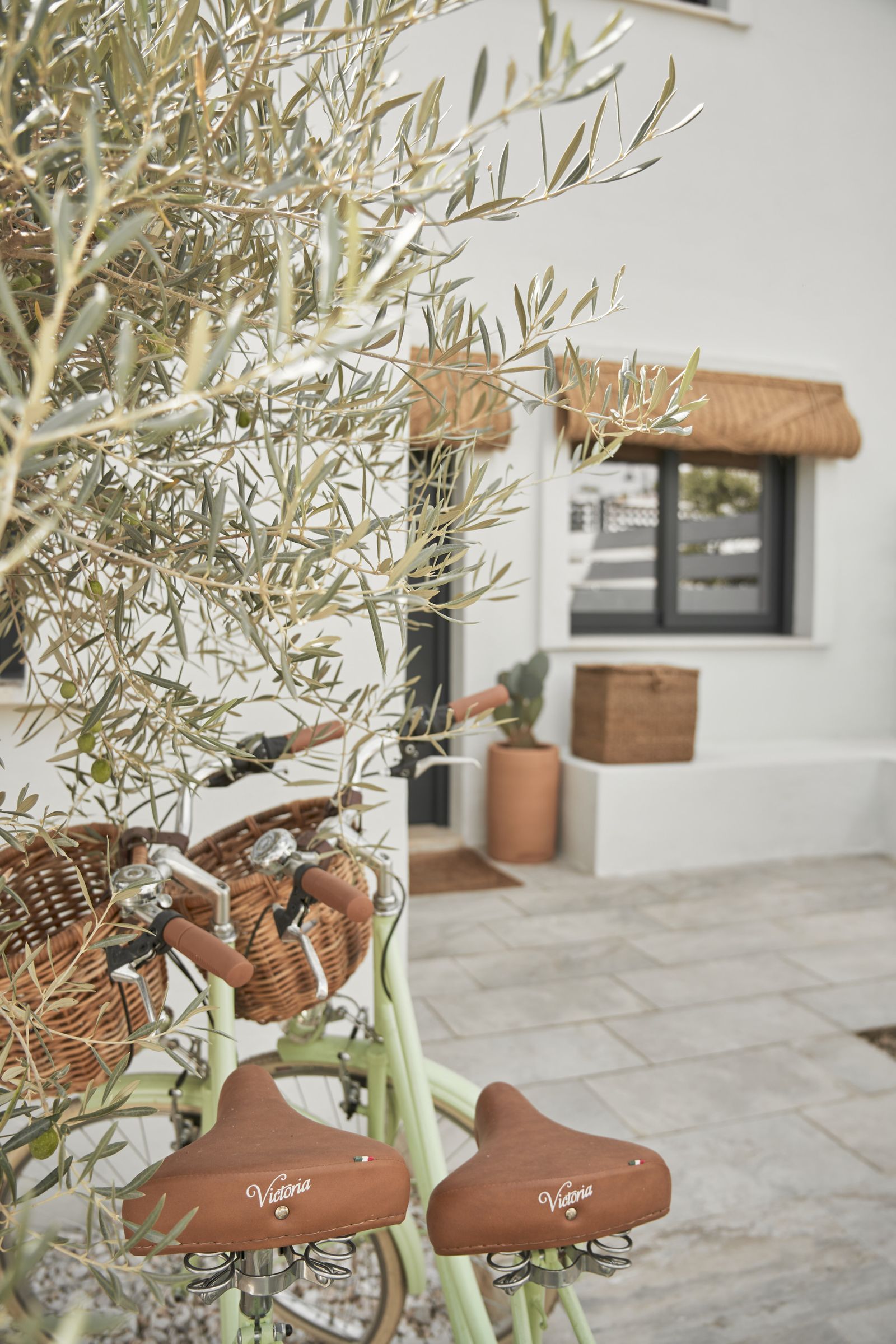 8245ab4292153f4f89d469d38e346d0b - 3