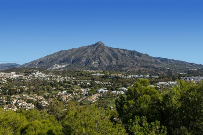 86343ef0aa60fd63a7e18440b1636860 - 2