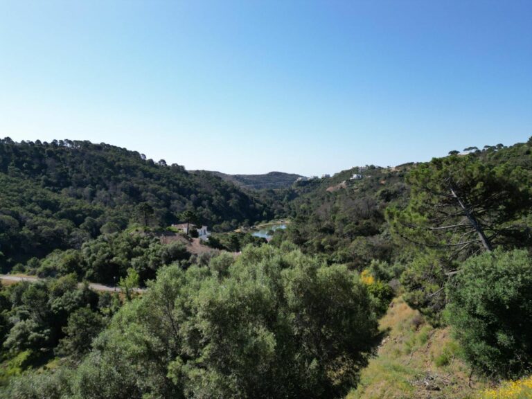 90ce0d88d5140e13c26a3e5a0b73cbcb - 5