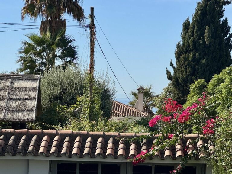 95c7e9b37253090cf0b764a81430233e - 1