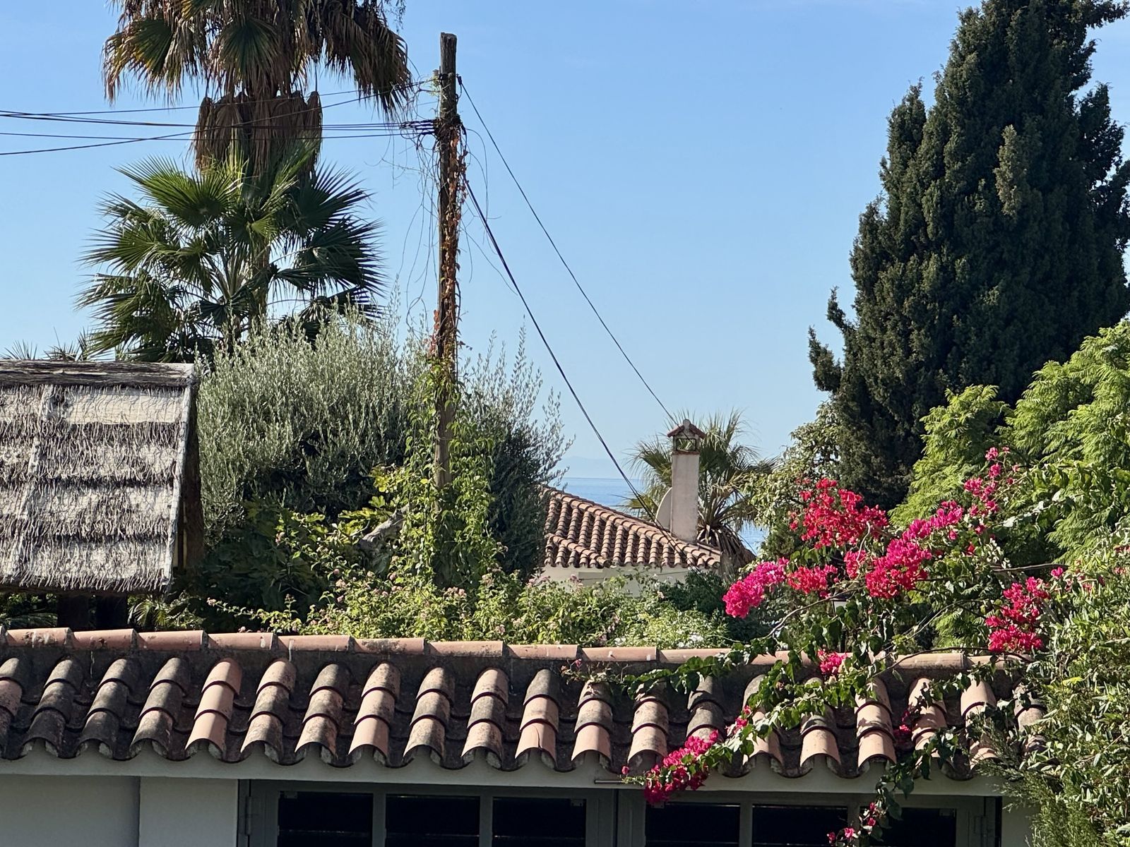 95c7e9b37253090cf0b764a81430233e - 1