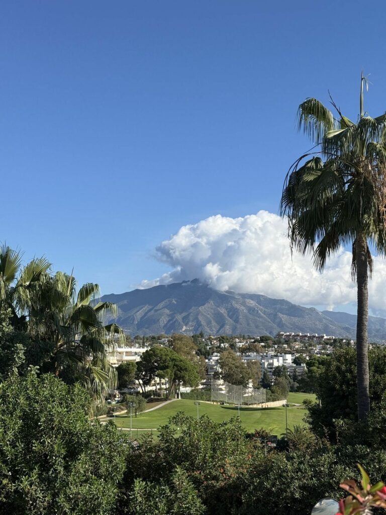 a3de42baf6bf80e828d26f0223bdd6d1 - 1