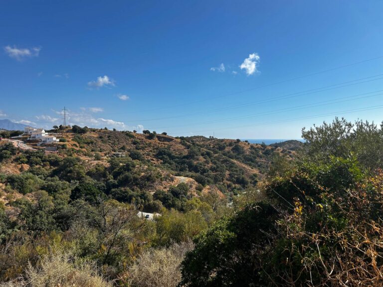 a73f8360ac8fcc848ab1fdf0daf91e91 - 1