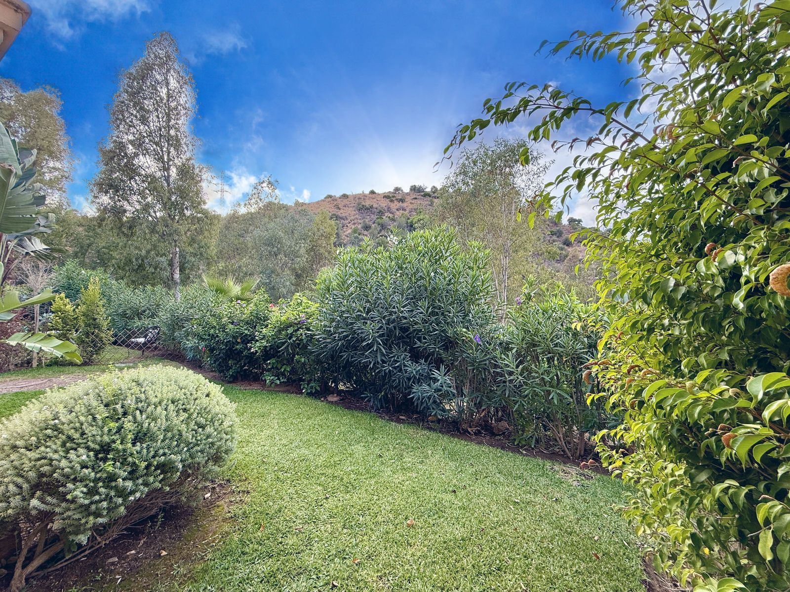 bbae08012f5a5a4249fc256e86c267be - 12