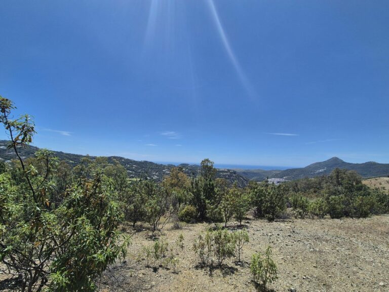 c1f4668d026ec3aa7171fd15e84c8334 - 2