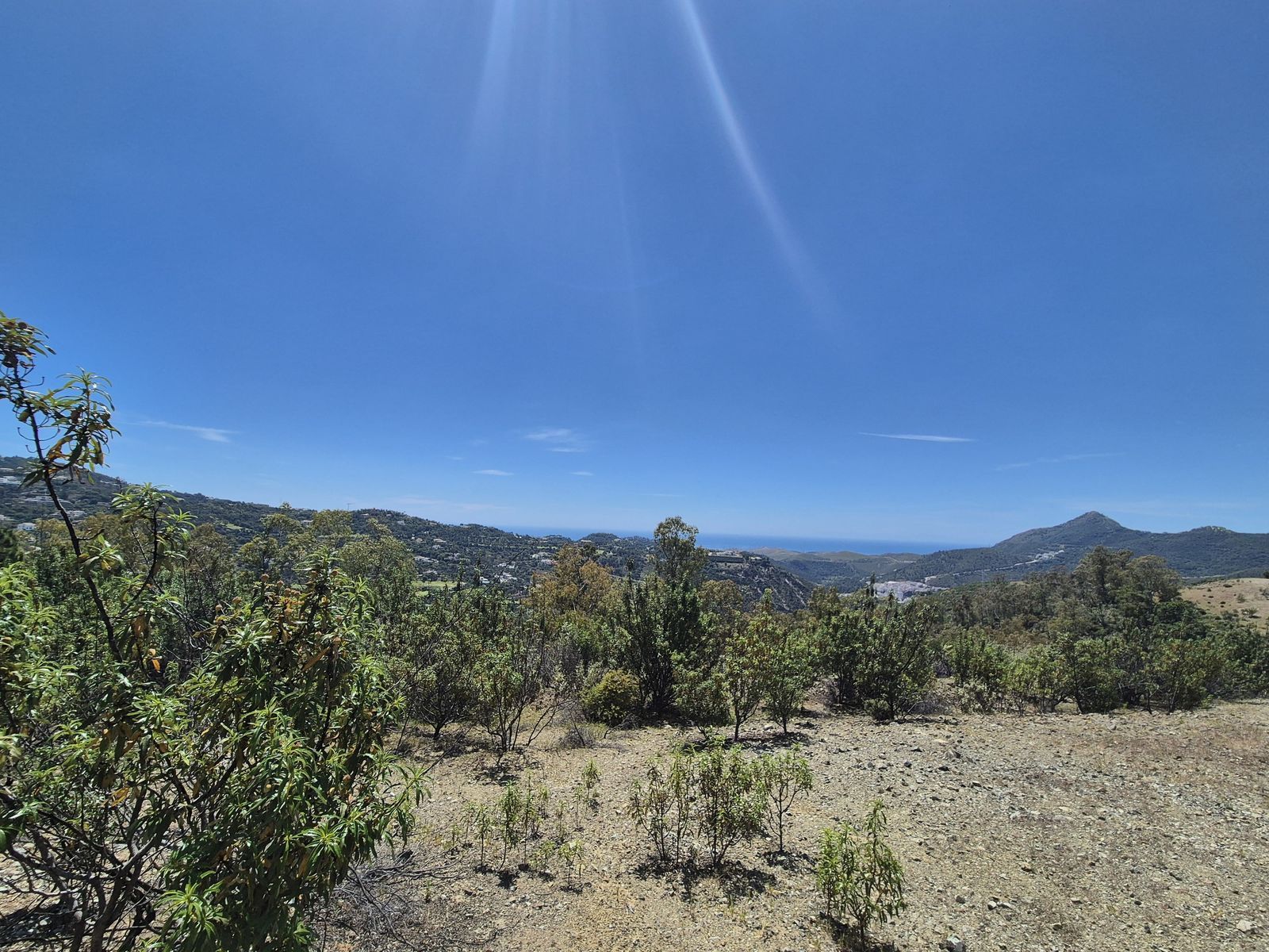 c1f4668d026ec3aa7171fd15e84c8334 - 2