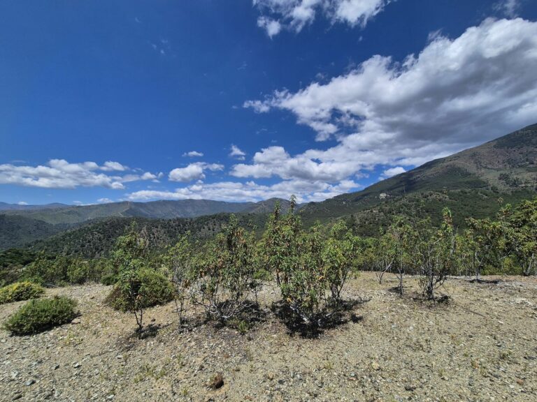 c1f4668d026ec3aa7171fd15e84c8334 - 4