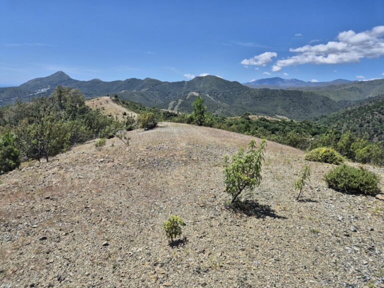 c1f4668d026ec3aa7171fd15e84c8334 - 5