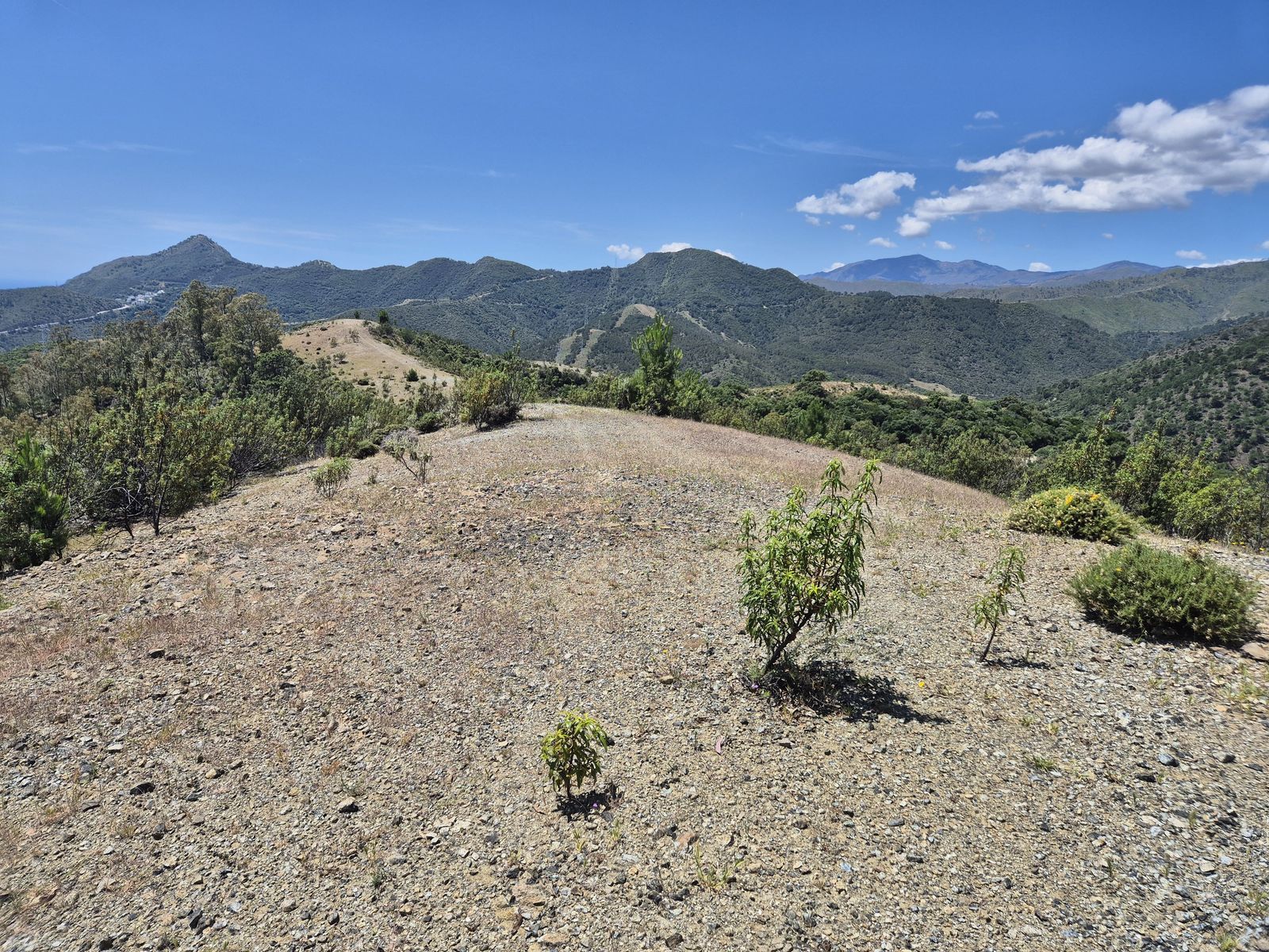 c1f4668d026ec3aa7171fd15e84c8334 - 5