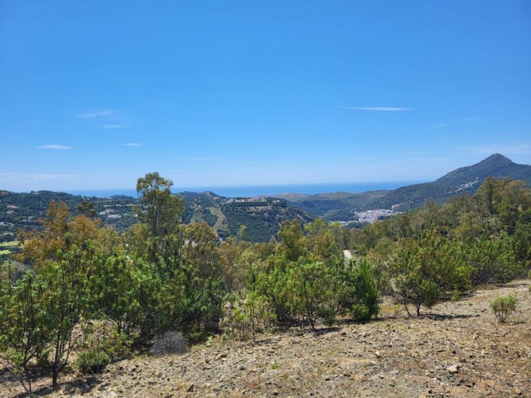 c1f4668d026ec3aa7171fd15e84c8334 - 7