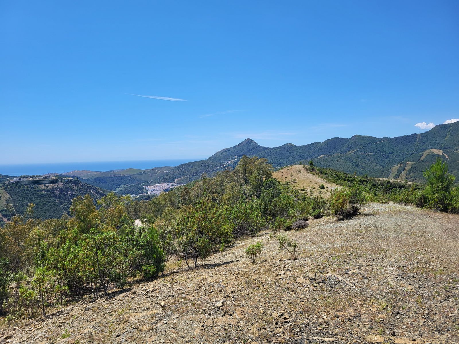 c1f4668d026ec3aa7171fd15e84c8334 - 8