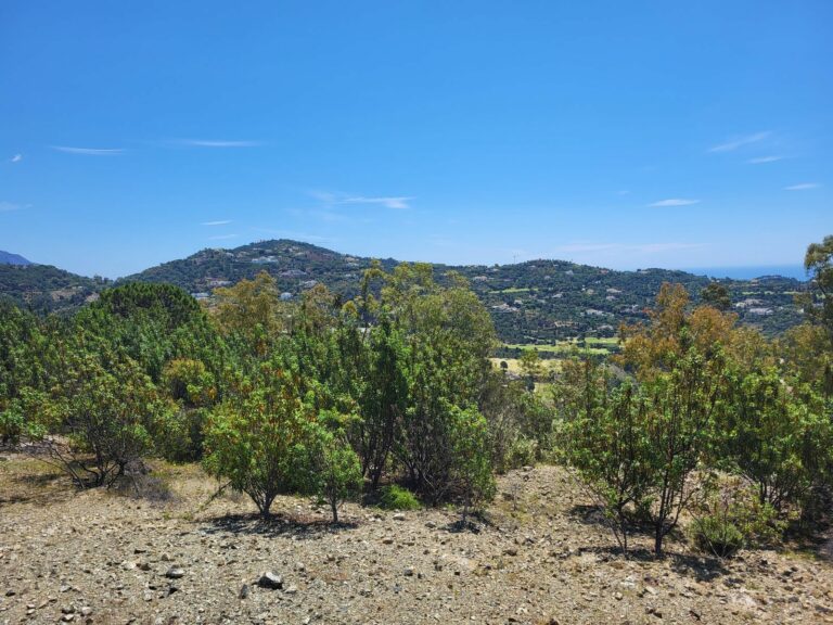 c1f4668d026ec3aa7171fd15e84c8334 - 9