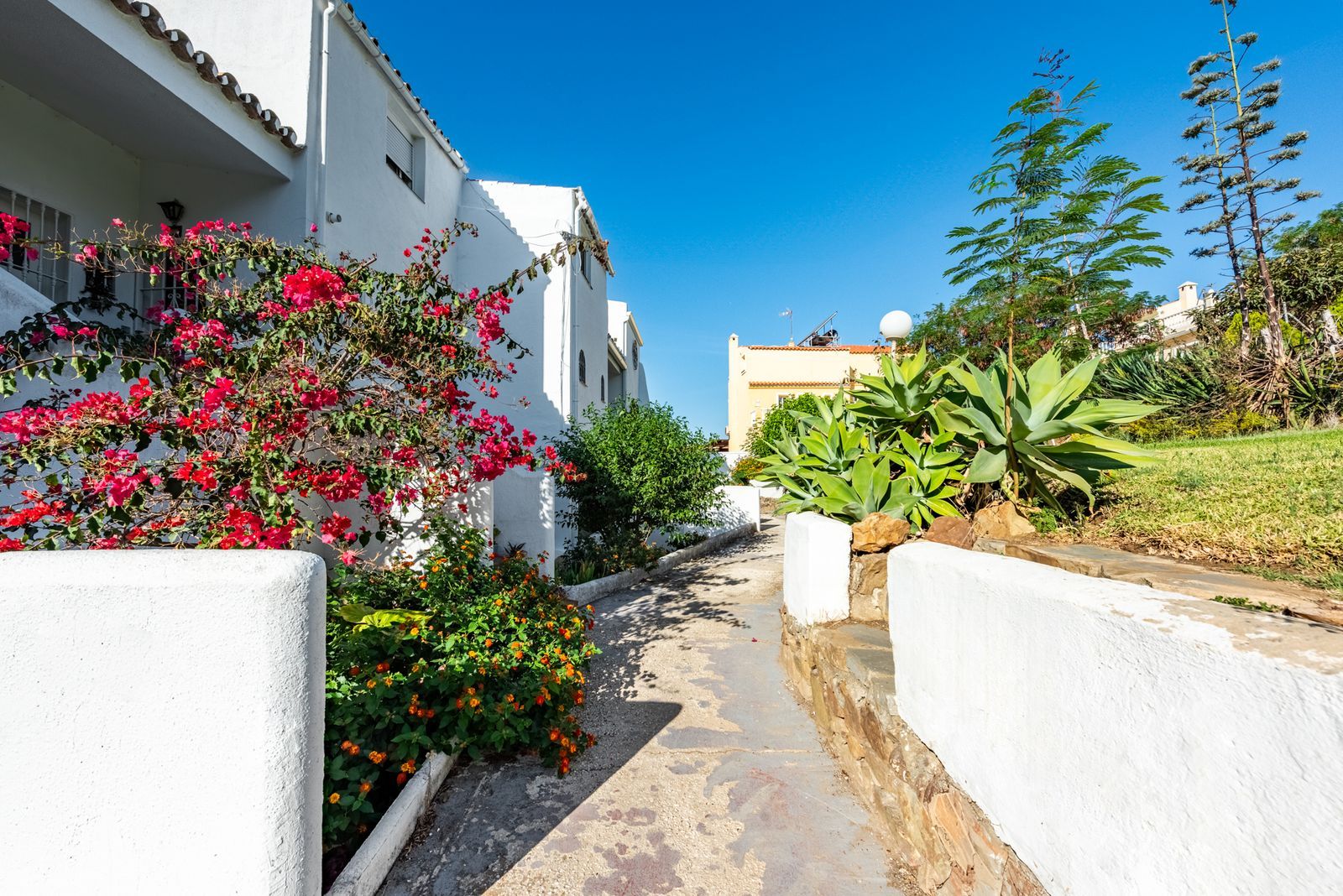 c235ee3308539b9908314c9bf2b97f5c - 16