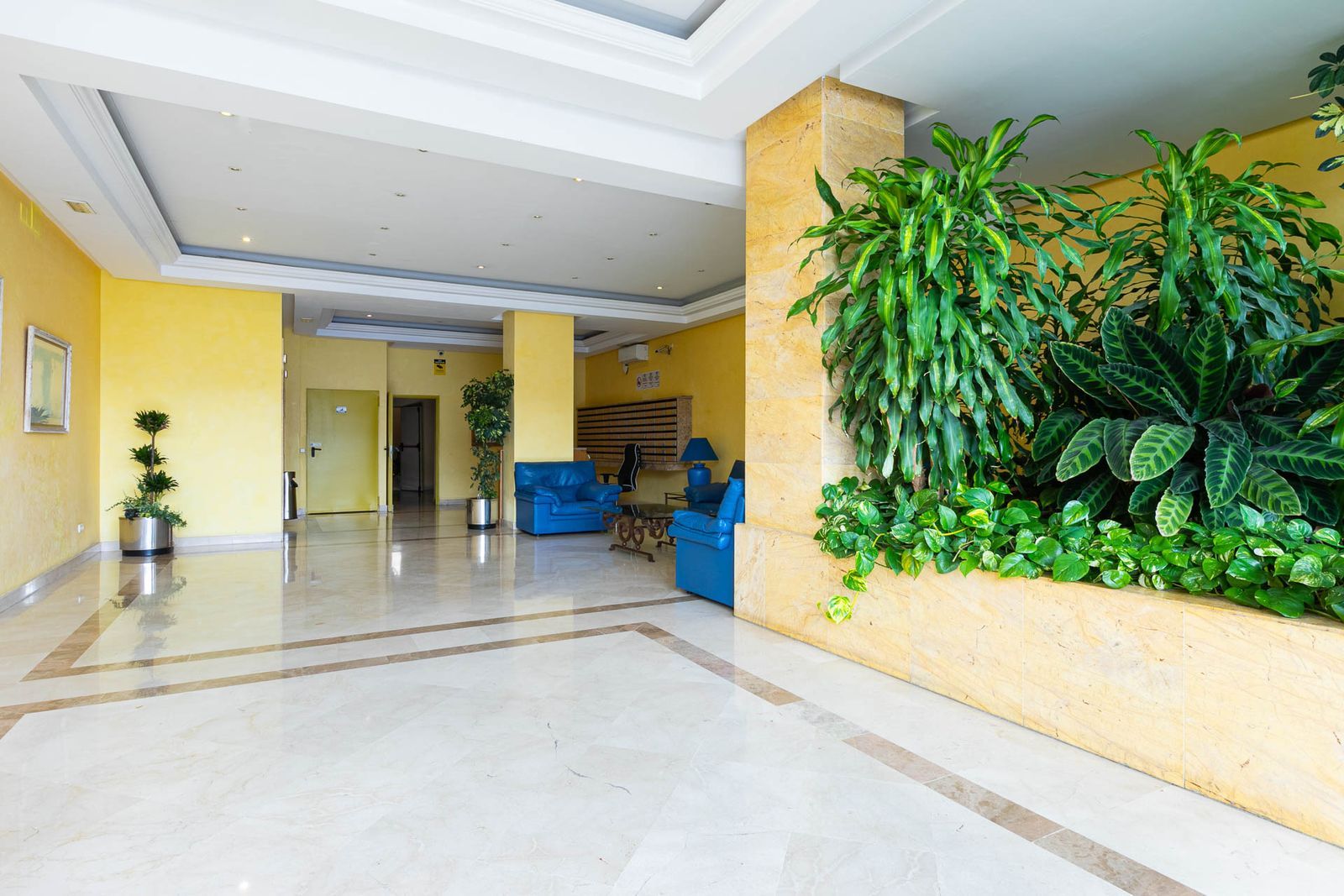 c61ec2f9a8b62cfe64b17a56d0ff6a6d - 2