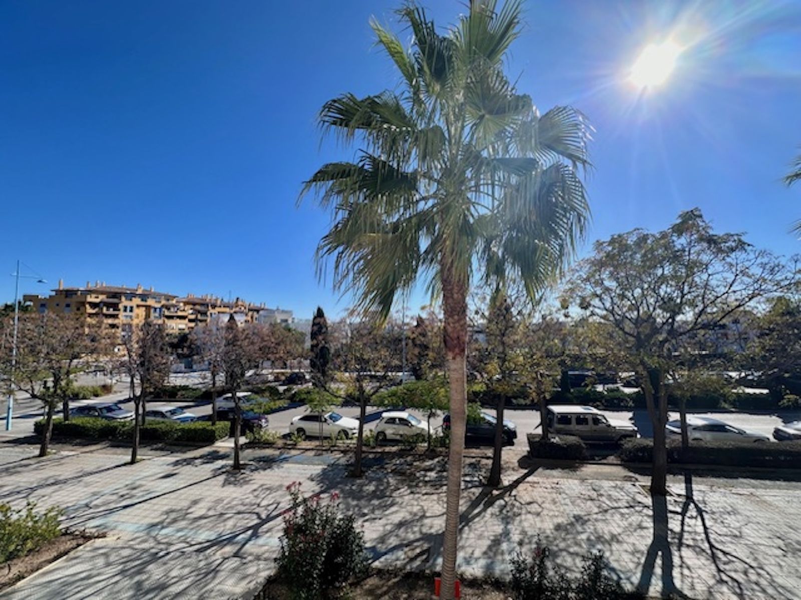 c799701ab59eca3fe091c940278c9d5d - 13