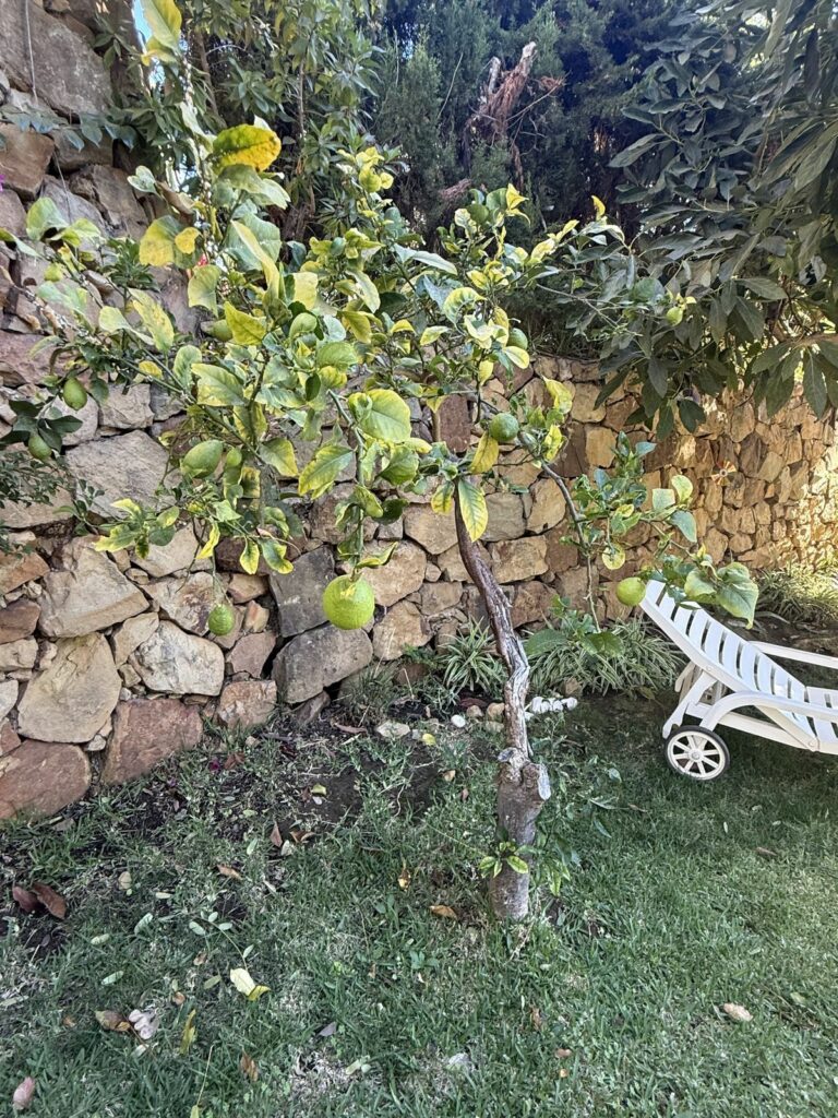 c92fce87d7dd8d49f82d9bc97d51358d - 16