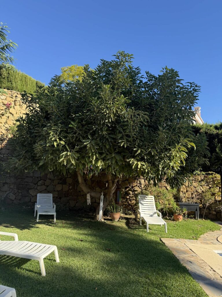 c92fce87d7dd8d49f82d9bc97d51358d - 3