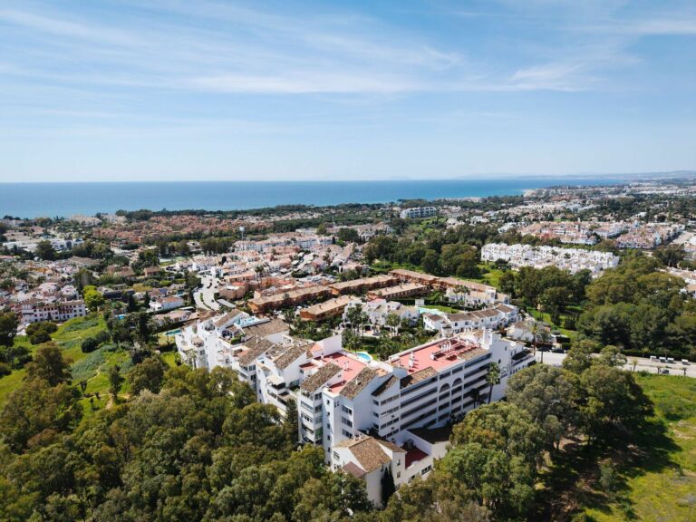 c9730d9a70a374e5abf1e44dc2b2ad82 - 2